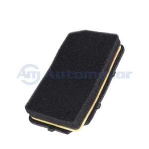 Filtro Aire Motor