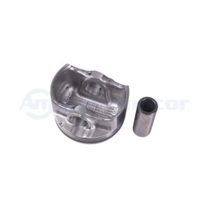 Piston Motor