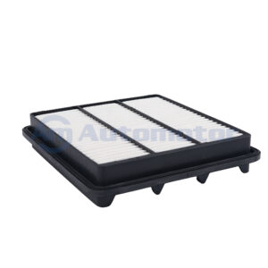 Filtro Aire Emgrand - X7