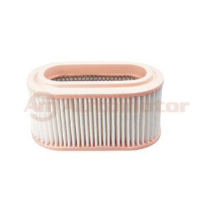 Filtro Aire Motor
