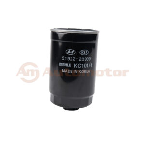 Filtro Combustible